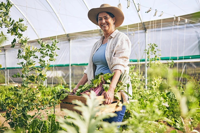 objetivo-del-proyecto